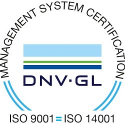 DNV management